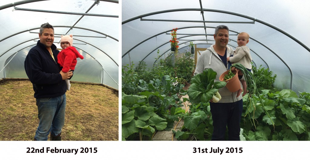 5 months of polytunnel growth