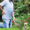 Summer Health: 1 – Pain-Free Gardening rp_gardening-back-pain.gif