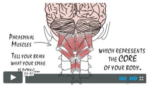 It's not about pain - it's about the brain