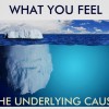 The Biggest & Most Harmful Health Myth Revealed The Biggest & Most Harmful Health Myth Revealed