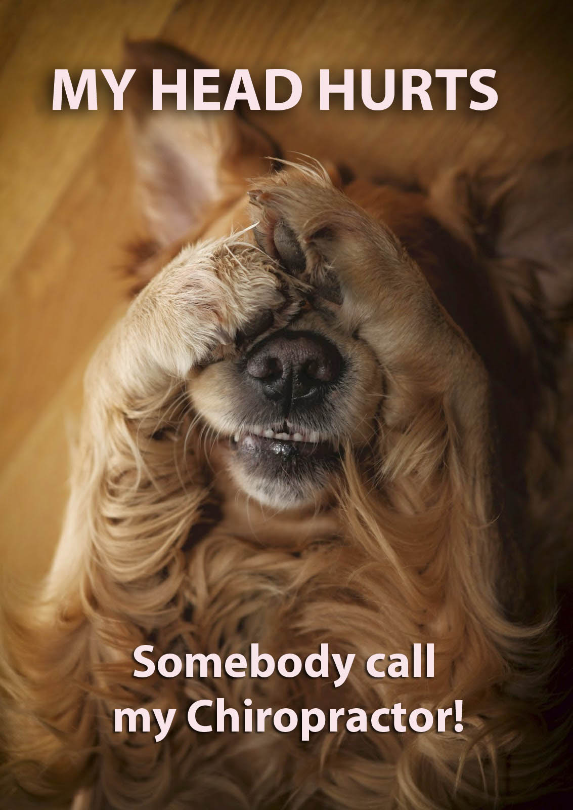 Health Concerns Headache and Migraine Optimal Chiropractic