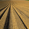 Supplements; the do’s and don’ts of adding supplements to your diet soil