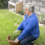 7 simple tips on how to avoid back pain while gardening