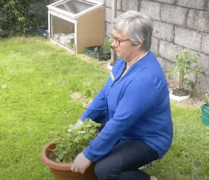7 simple tips on how to avoid back pain while gardening