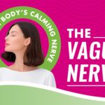 Vagus Nerve Regulation and Chiropractic Care: How to Support Your Nervous System Naturally