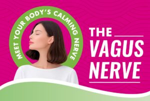 Vagus Nerve Regulation and Chiropractic Care: How to Support Your Nervous System Naturally